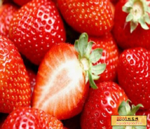 腾鳌温泉草莓特产照片