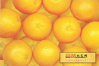 玉橙特产照片