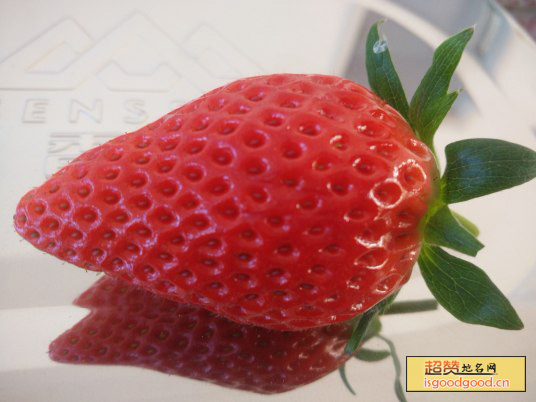 龙口草莓特产照片