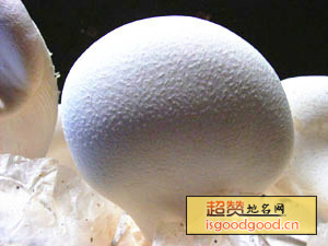 广水白灵菇特产照片