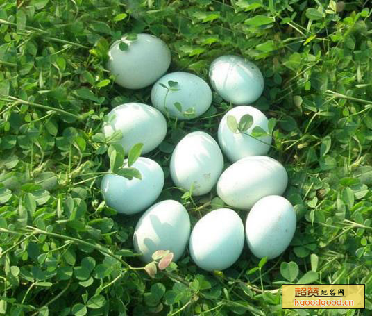 绿壳鸡蛋特产照片