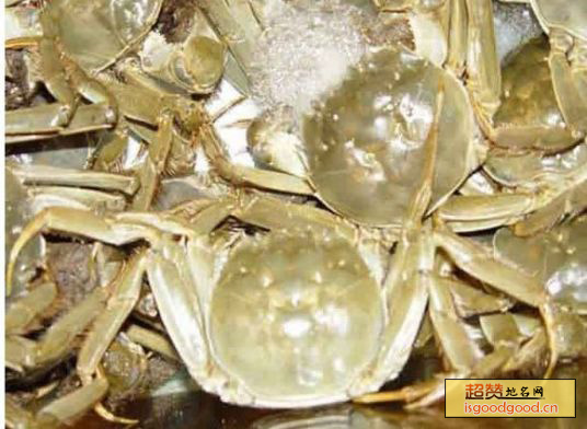 巢湖螃蟹特产照片