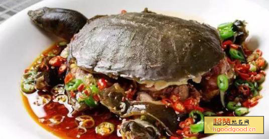 红烧龟肉特产照片