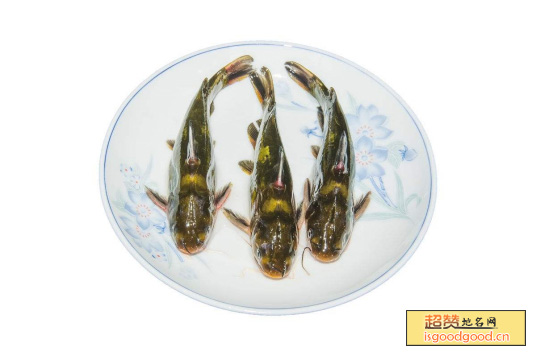 涨渡湖黄颡鱼特产照片