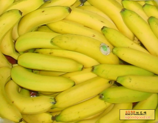 天宝香蕉特产照片