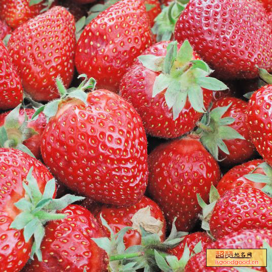 砖埠草莓特产照片