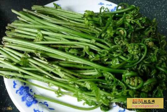 黄山蕨菜特产照片