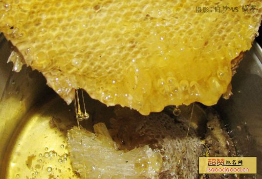 野蜂蜜特产照片