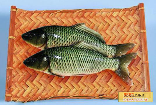 孟津黄河鲤鱼特产照片