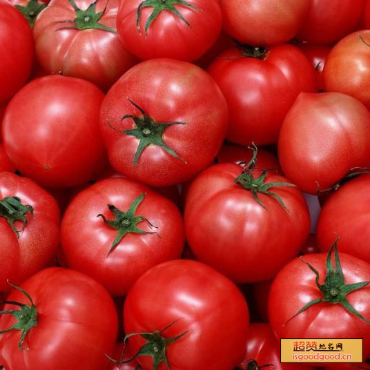 西红柿特产照片