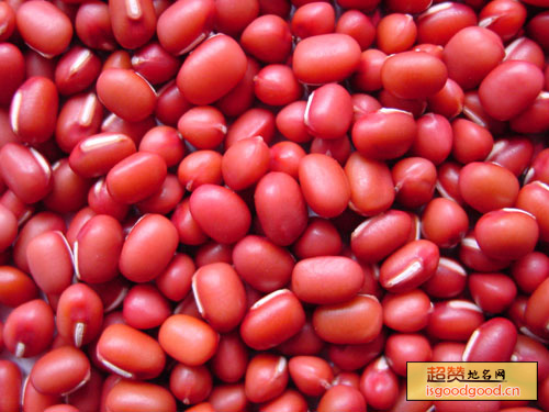 大红袍赤豆特产照片