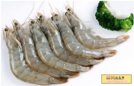 南湾湖虾