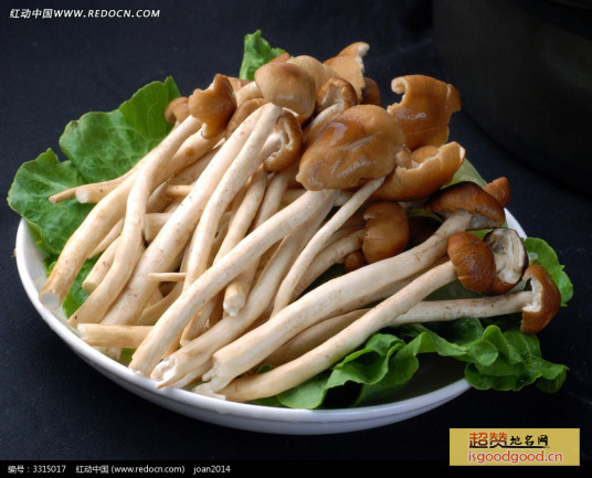 茶薪菇特产照片