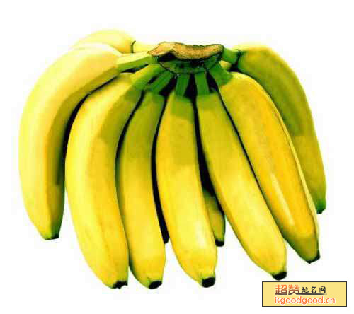 茂生围香蕉特产照片