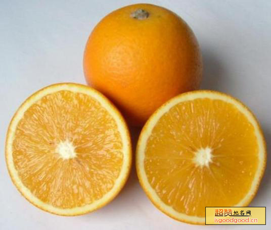 鹿寨蜜橙特产照片