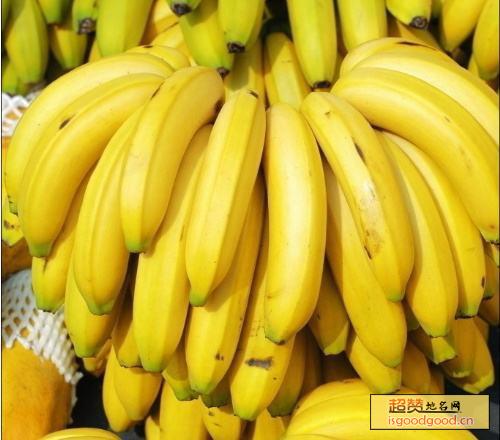 南宁香蕉特产照片