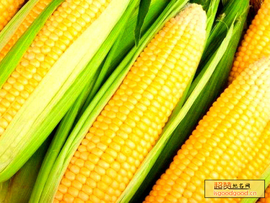 峰城玉米特产照片