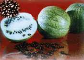 大板黑瓜籽特产照片
