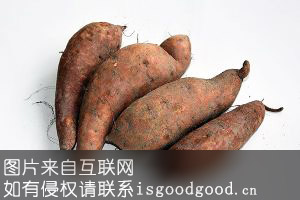 旱岭红薯特产照片