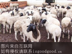 阿鲁科尔沁羊肉特产照片