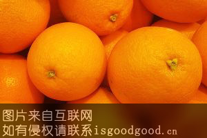 菖蒲脐橙特产照片