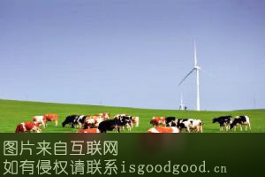 科尔沁牛特产照片