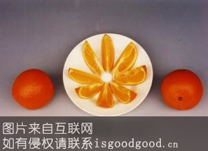广柑，蜜桔特产照片