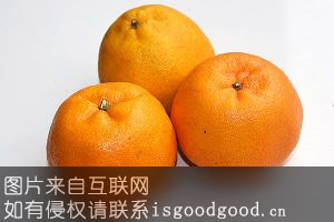 临澧柑橘特产照片