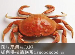 丁湖螃蟹特产照片