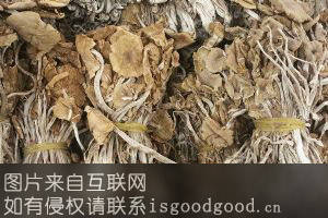 潜山茶树菇特产照片