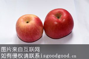 涡阳红富士苹果特产照片
