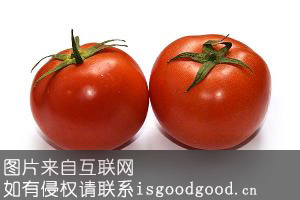 “龙澍峪”牌西红柿特产照片