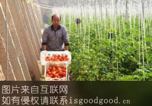 襄陵西红柿特产照片