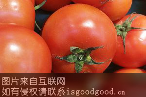 北票西红柿北票番茄特产照片