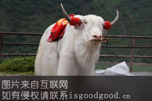 白牦牛肉特产照片