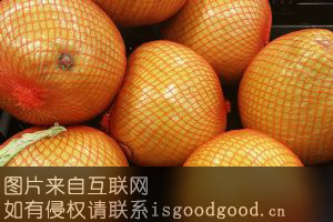 漳州柚子特产照片