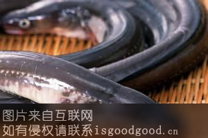 龙湖鳗鱼特产照片