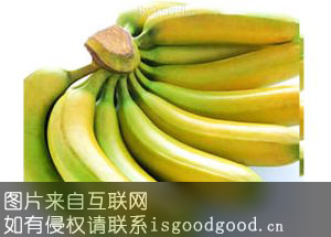 漳州香蕉特产照片