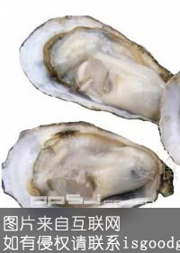 福建牡蛎特产照片
