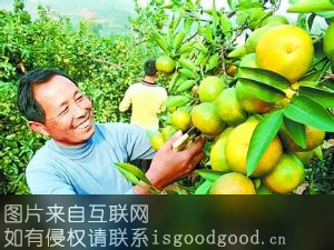 杨沟柑橘特产照片