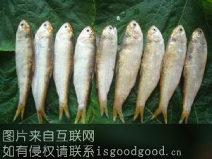 赤壁鱼特产照片
