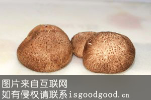 油山香菇特产照片