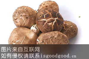 北江香菇特产照片