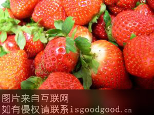 宜兴草莓特产照片
