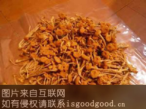 广昌茶薪菇特产照片