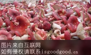 建阳红菇特产照片