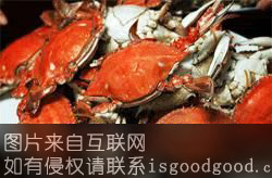葫芦岛海蟹特产照片
