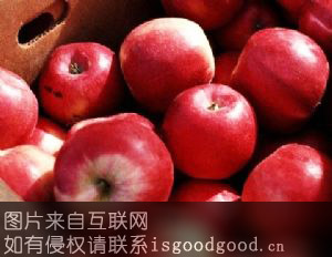 东马屯苹果特产照片