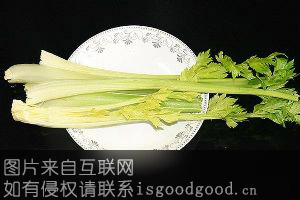 金口玉芽芹菜特产照片