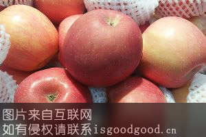 义县寒富苹果特产照片